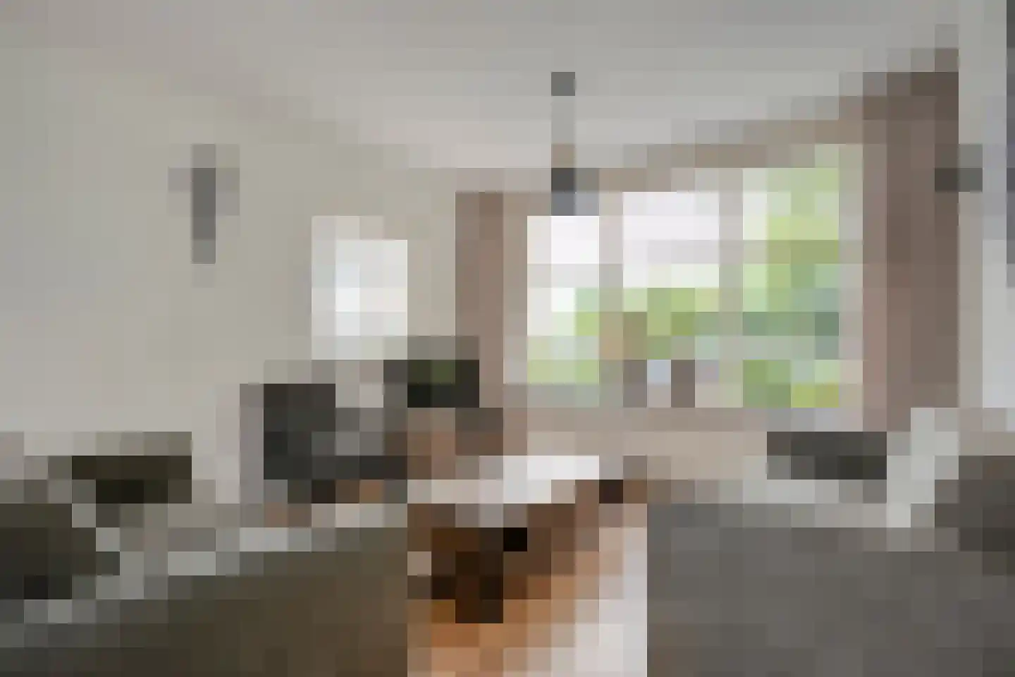 De Kievit 7 Dedemsvaart thumbnail 12