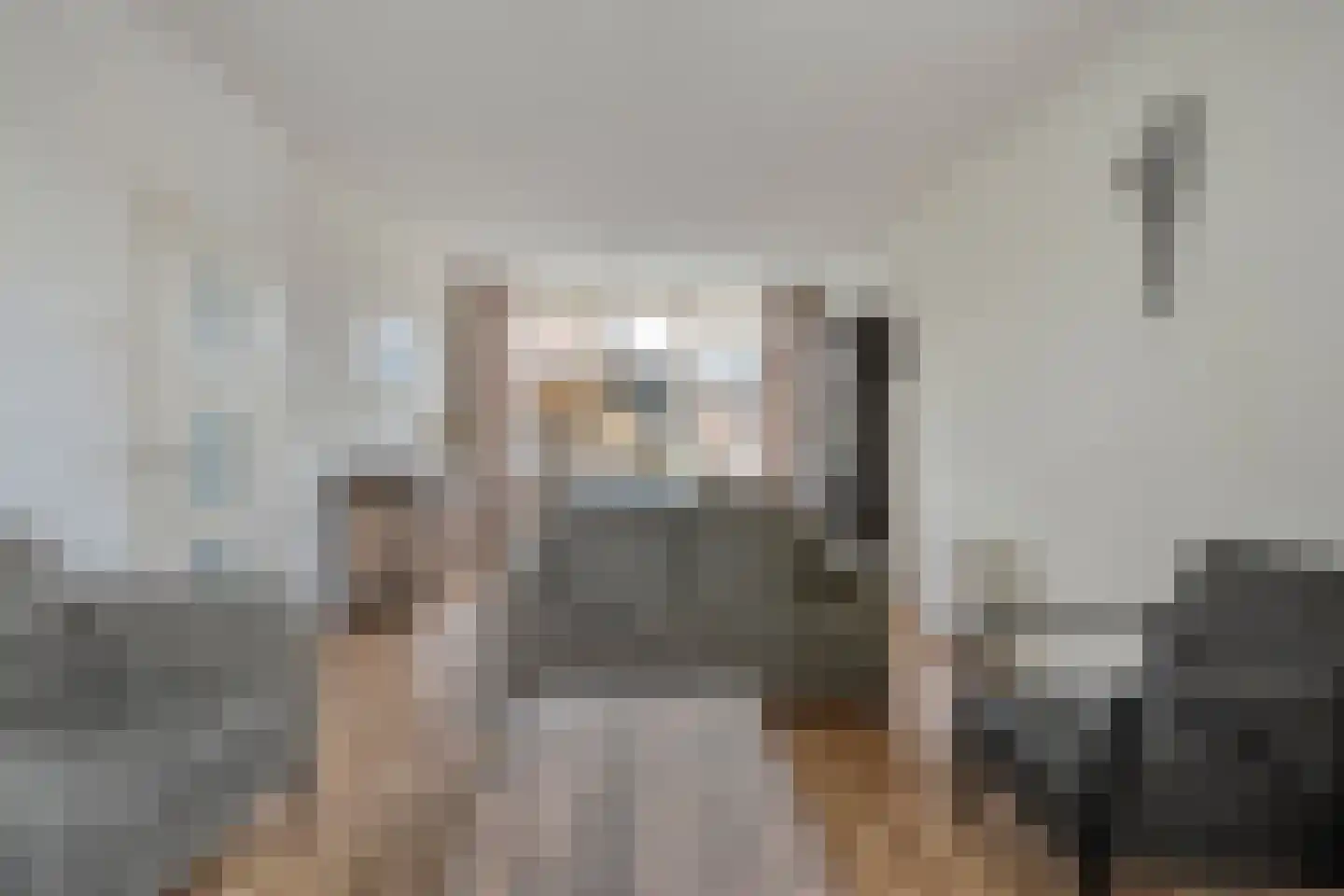 De Kievit 7 Dedemsvaart thumbnail 14