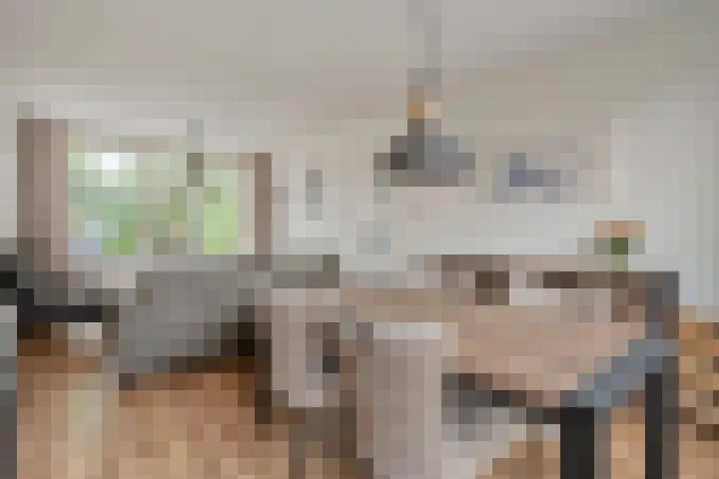 De Kievit 7 Dedemsvaart thumbnail 18