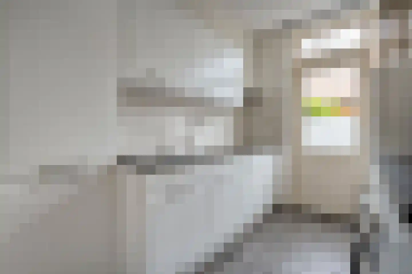 De Kievit 7 Dedemsvaart thumbnail 19