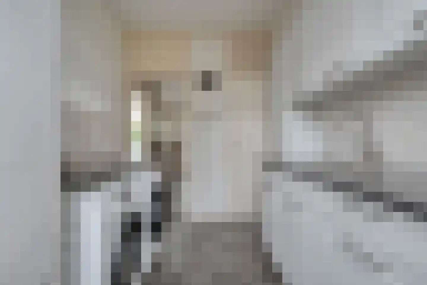De Kievit 7 Dedemsvaart thumbnail 21