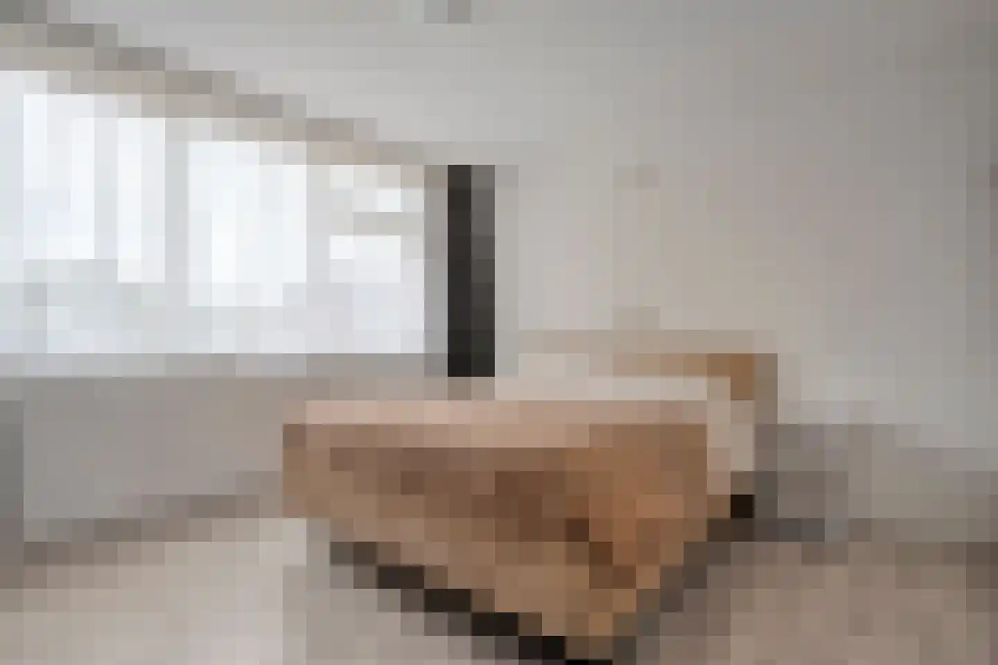 De Kievit 7 Dedemsvaart thumbnail 26