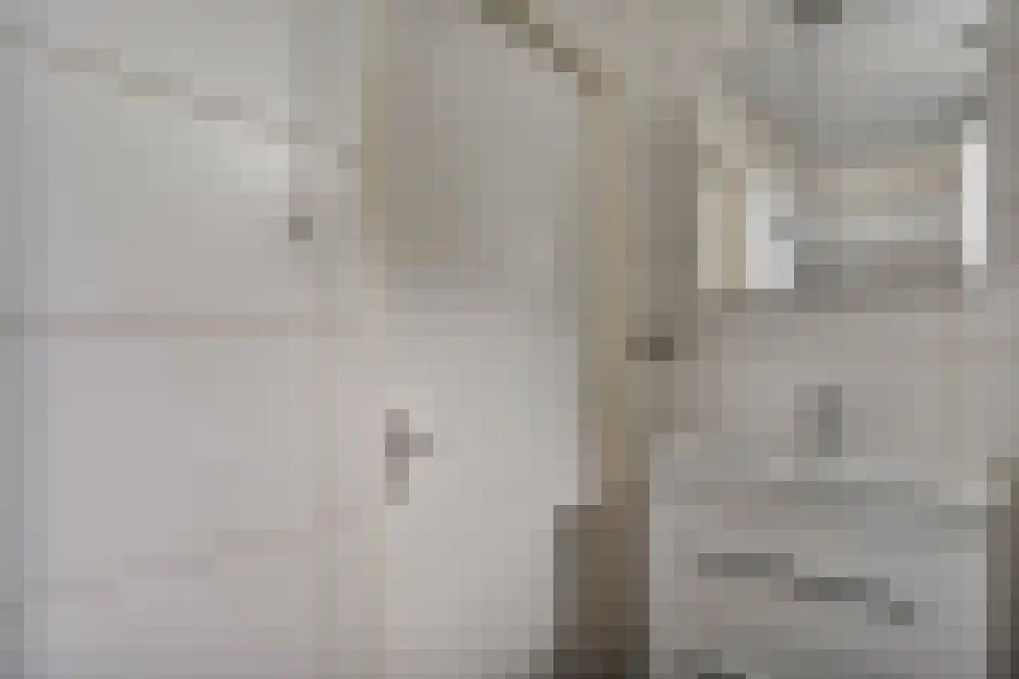 De Kievit 7 Dedemsvaart thumbnail 29