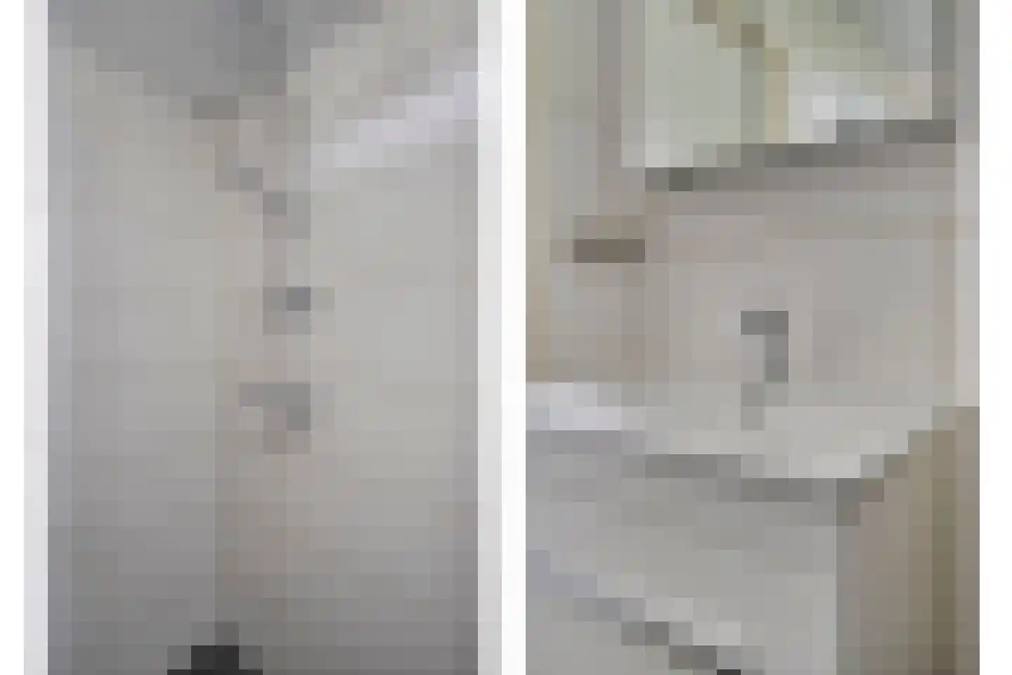 De Kievit 7 Dedemsvaart thumbnail 30