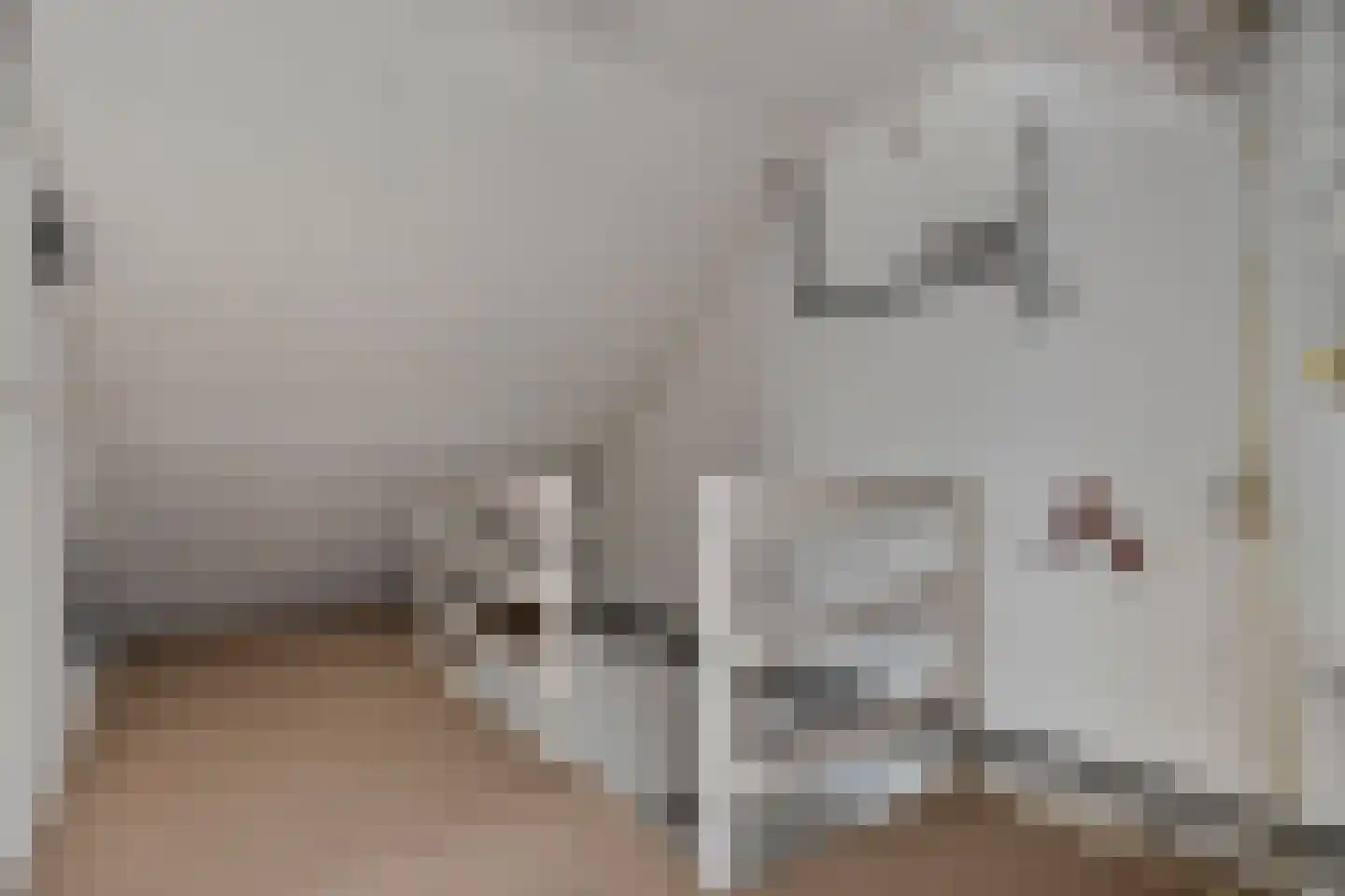 De Kievit 7 Dedemsvaart thumbnail 33