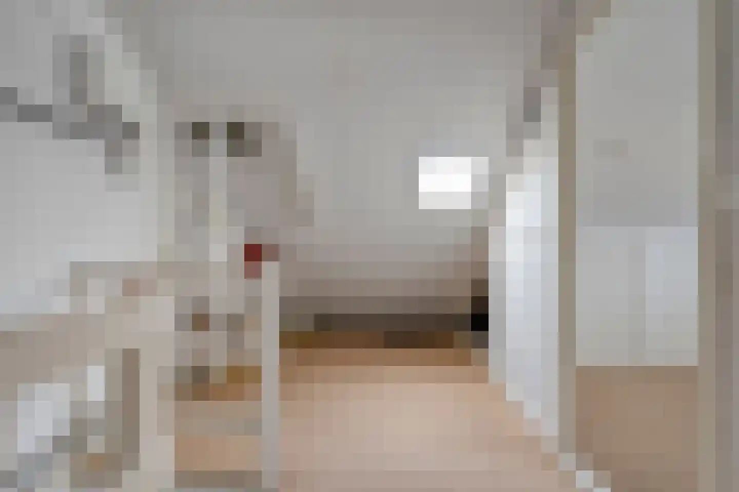 De Kievit 7 Dedemsvaart thumbnail 34