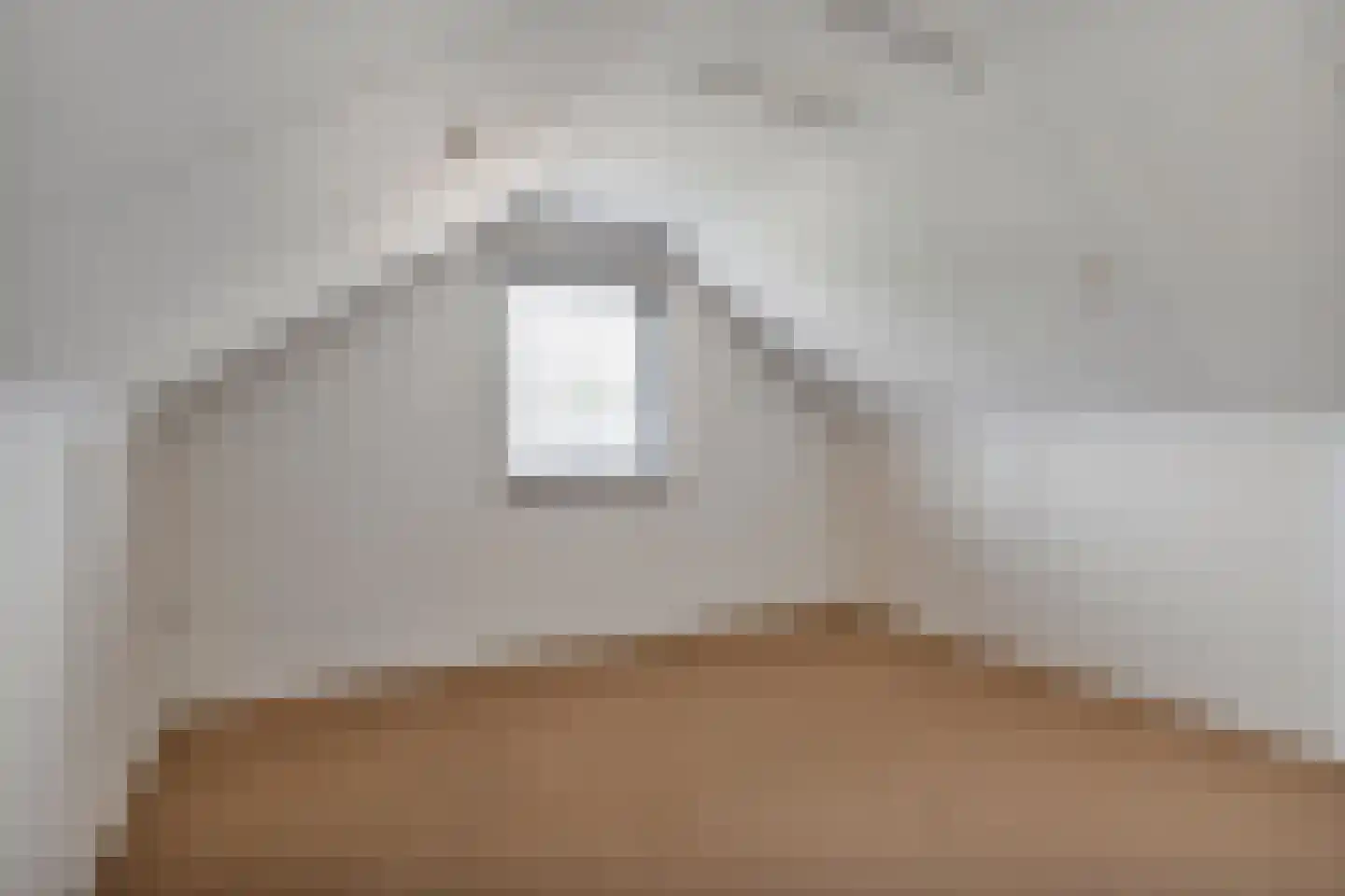 De Kievit 7 Dedemsvaart thumbnail 35