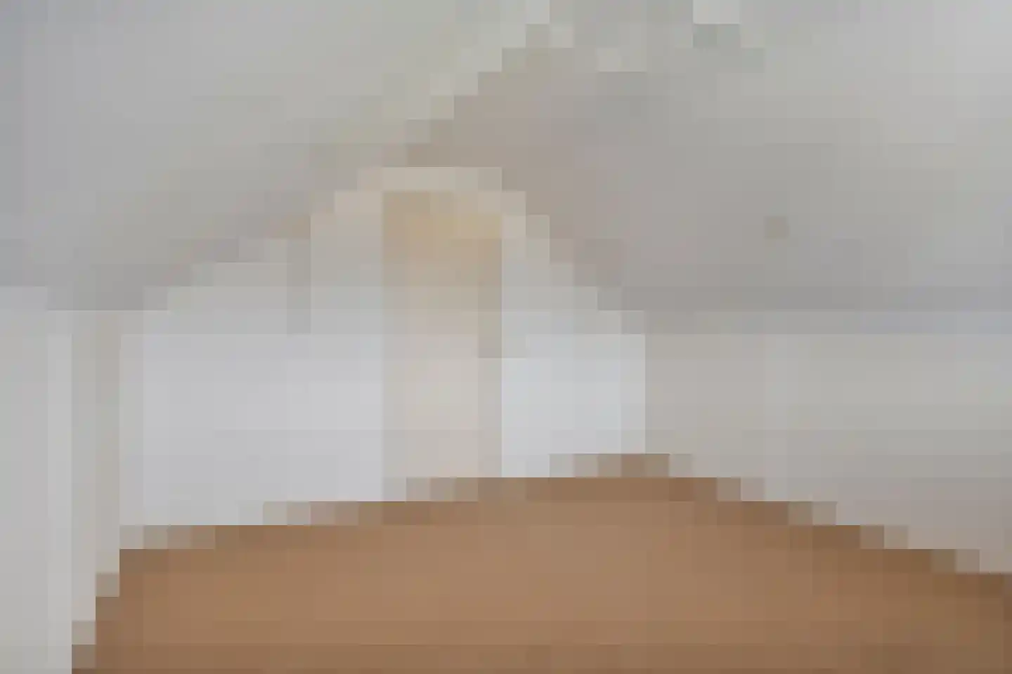 De Kievit 7 Dedemsvaart thumbnail 36