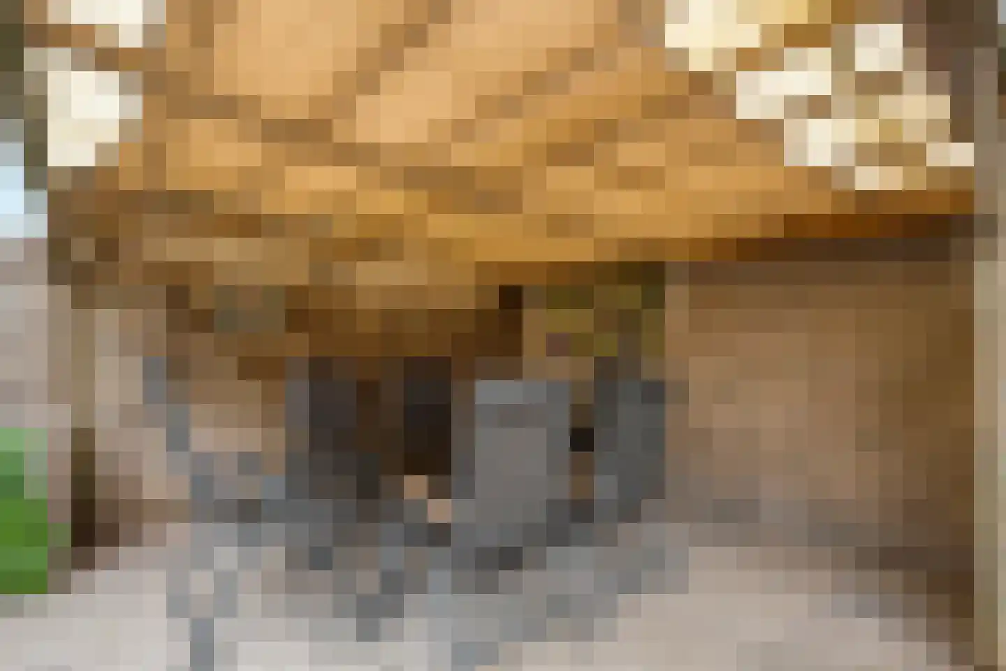 De Kievit 7 Dedemsvaart thumbnail 41