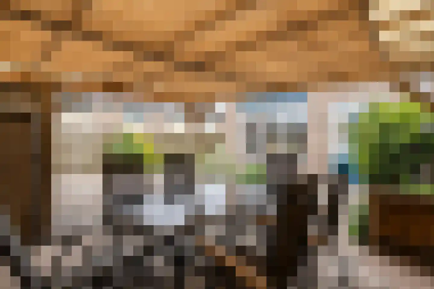 De Kievit 7 Dedemsvaart thumbnail 42