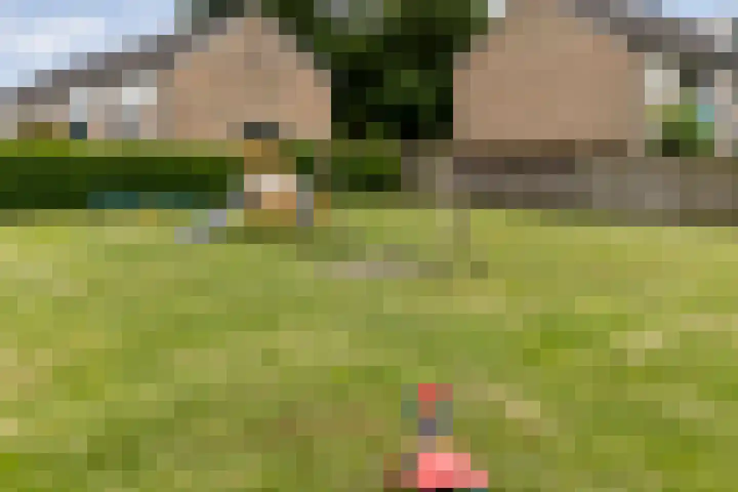 De Kievit 7 Dedemsvaart thumbnail 43