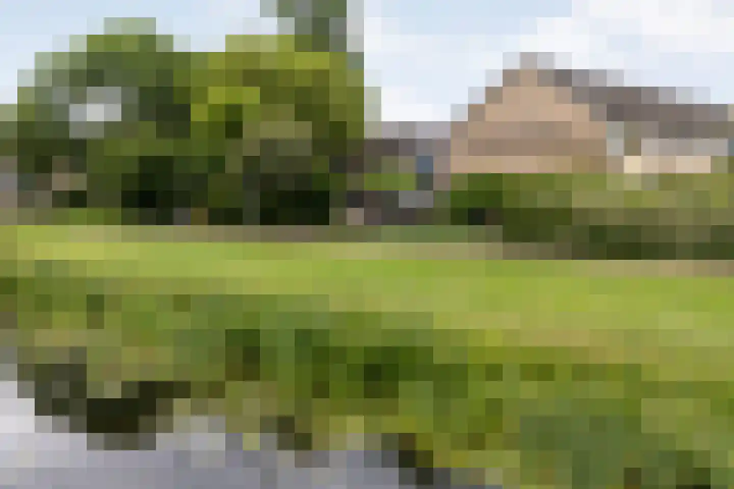 De Kievit 7 Dedemsvaart thumbnail 44