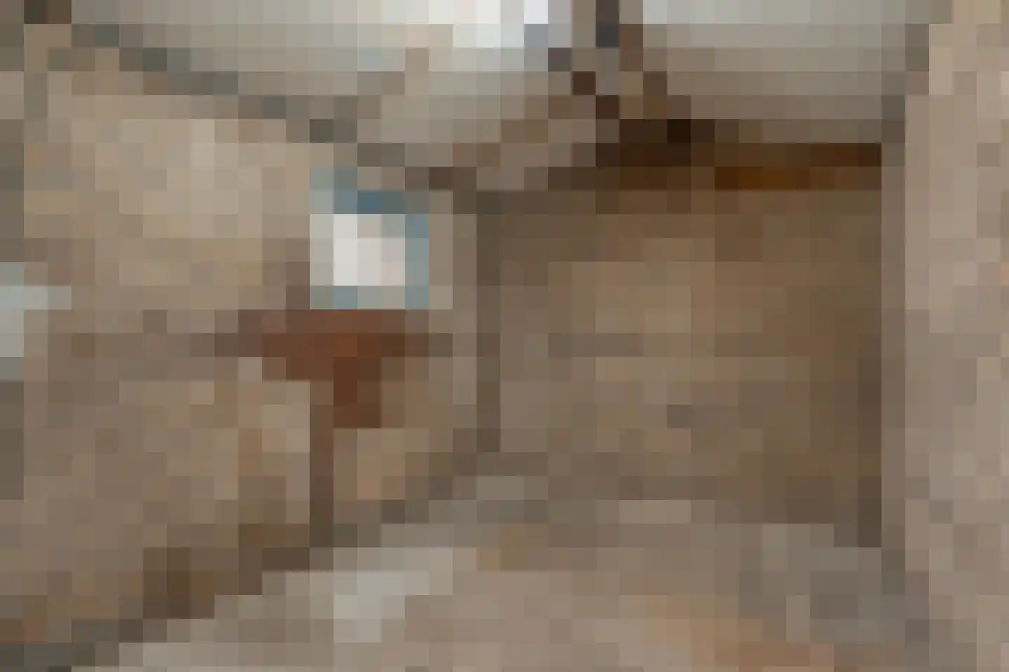 De Kievit 7 Dedemsvaart thumbnail 48