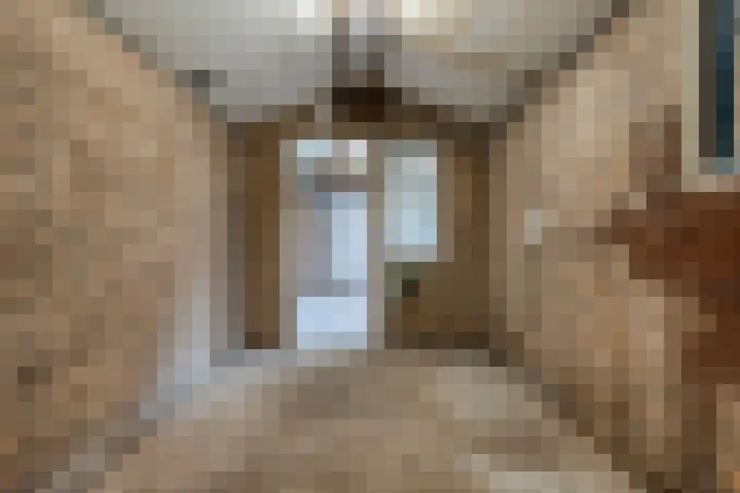 De Kievit 7 Dedemsvaart thumbnail 49