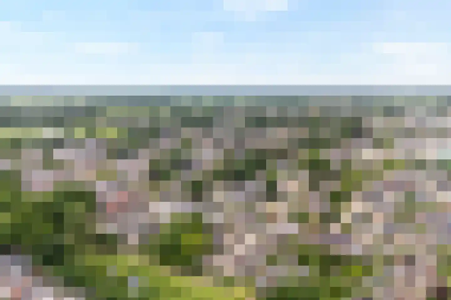 De Kievit 7 Dedemsvaart thumbnail 50