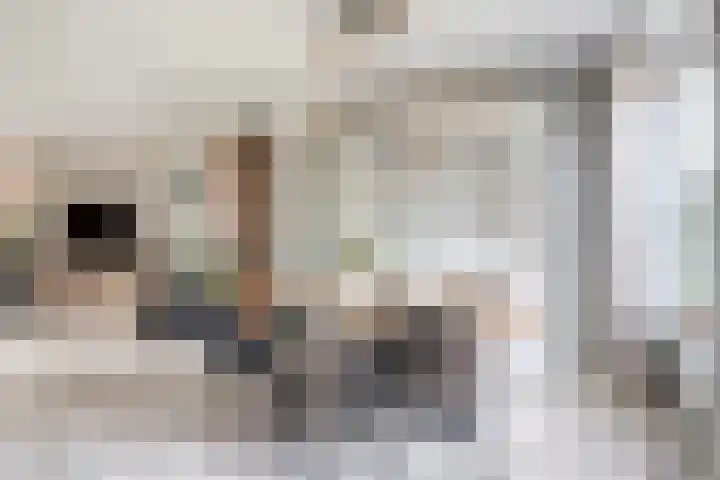 De Kievit 72 Dronten thumbnail 10