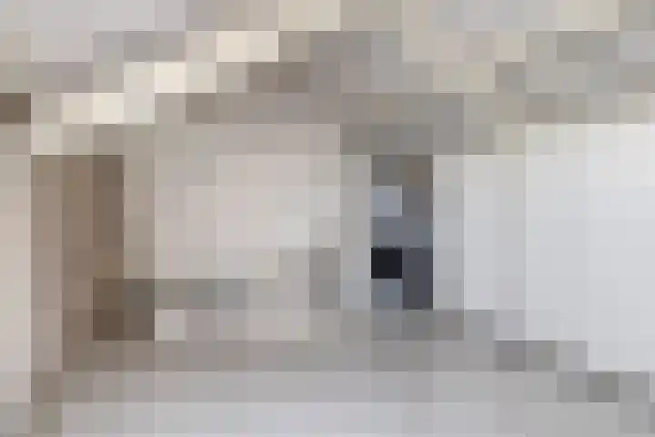 De Kievit 72 Dronten thumbnail 25