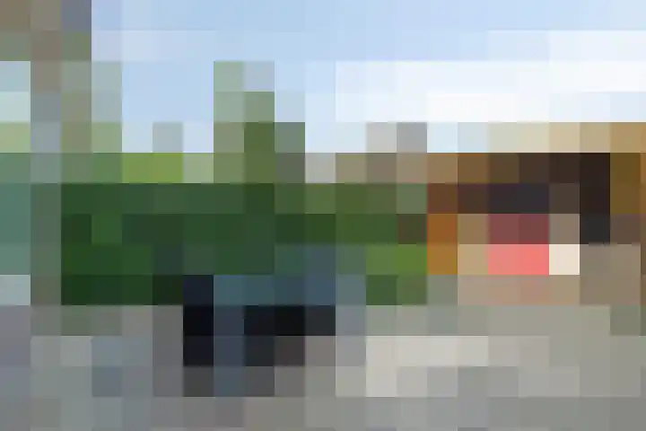 De Kievit 72 Dronten thumbnail 26