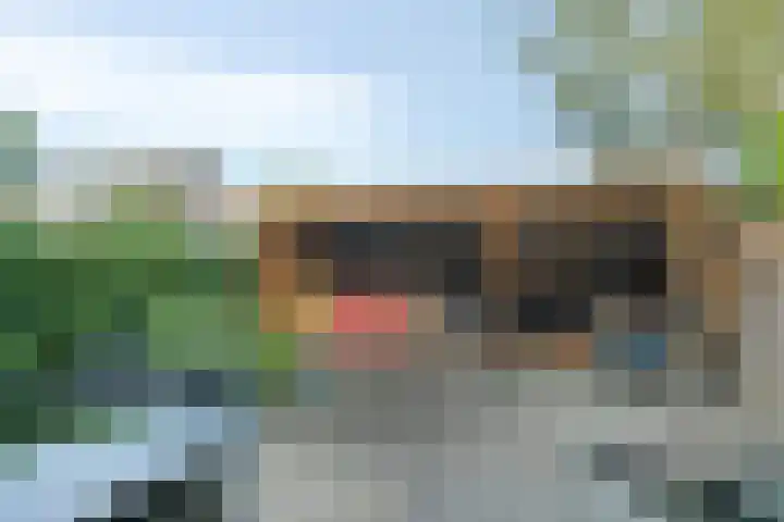 De Kievit 72 Dronten thumbnail 27