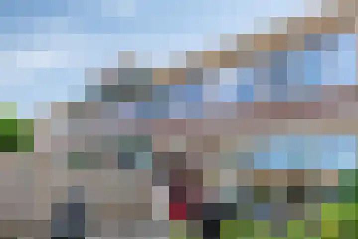 De Kievit 72 Dronten thumbnail 29