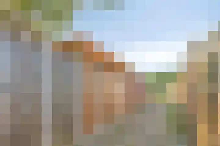 De Kievit 72 Dronten thumbnail 30
