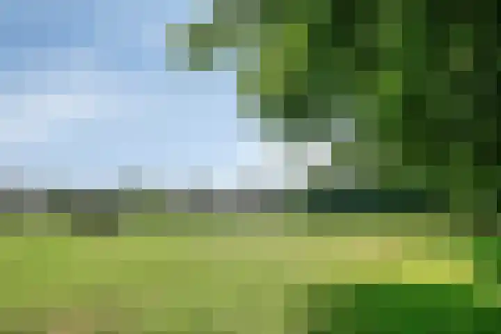 De Kievit 72 Dronten thumbnail 31