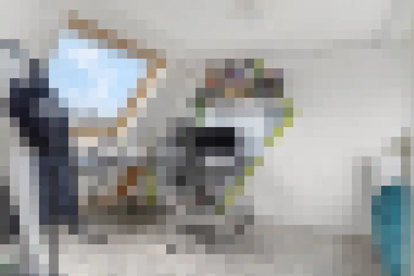De Kievit 8 Elst Ut thumbnail 19