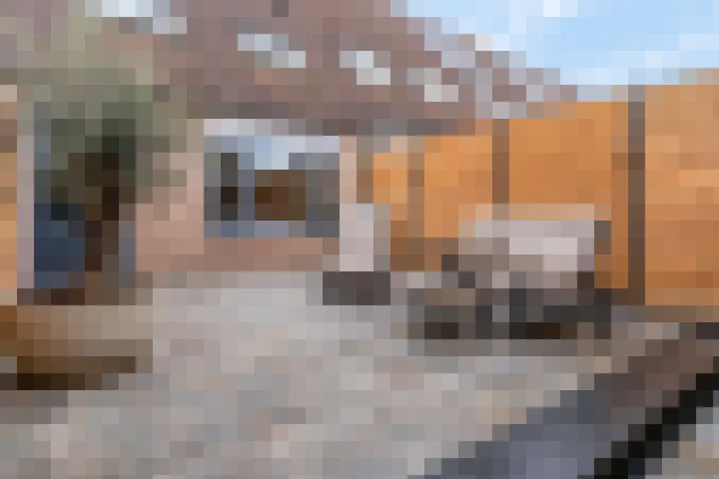 De Kievit 8 Elst Ut thumbnail 23