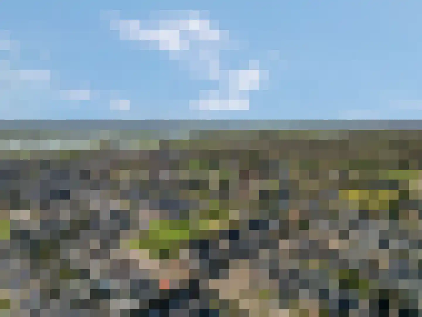De Kievit 8 Elst Ut thumbnail 31