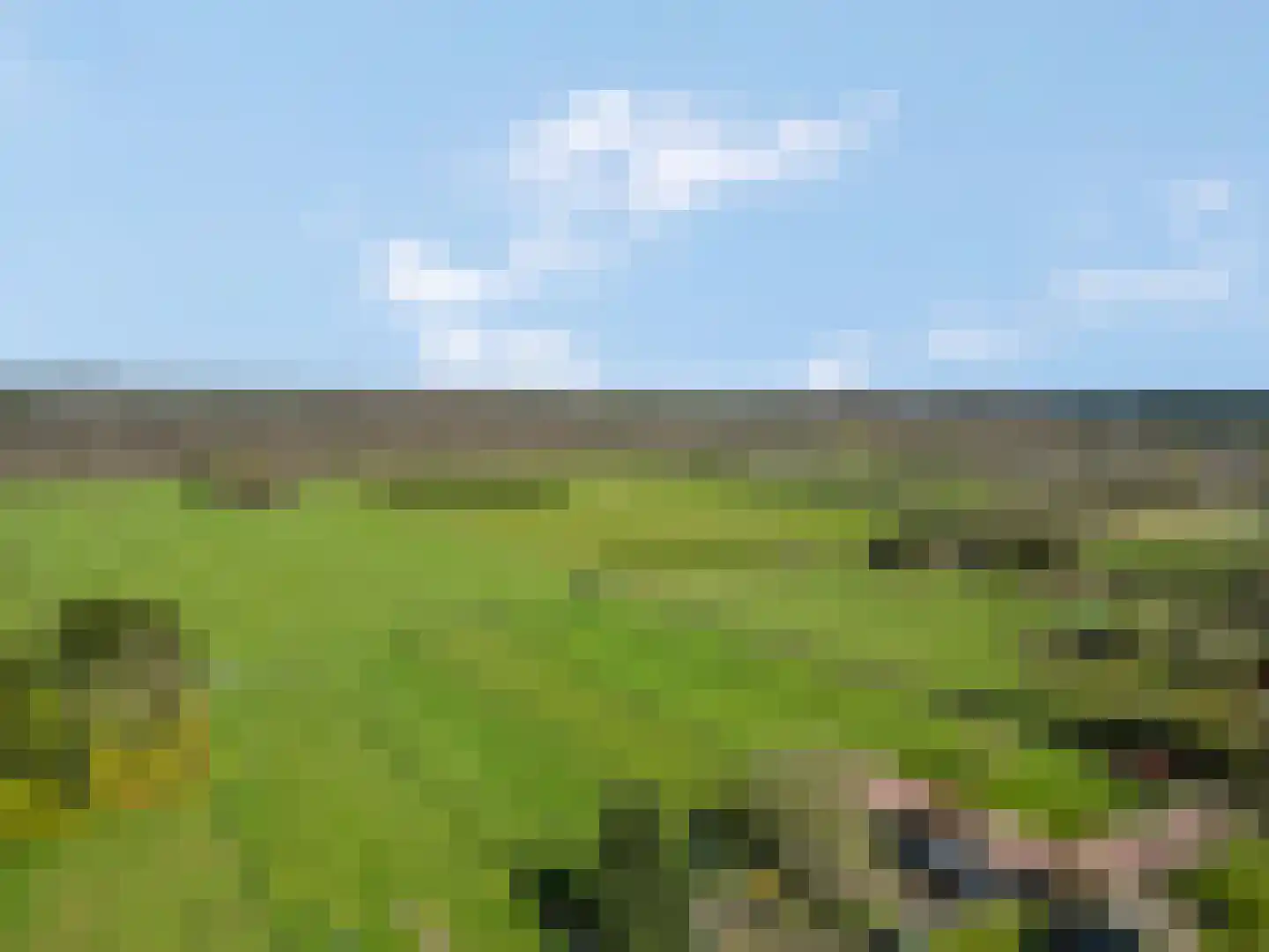 De Kievit 8 Elst Ut thumbnail 32