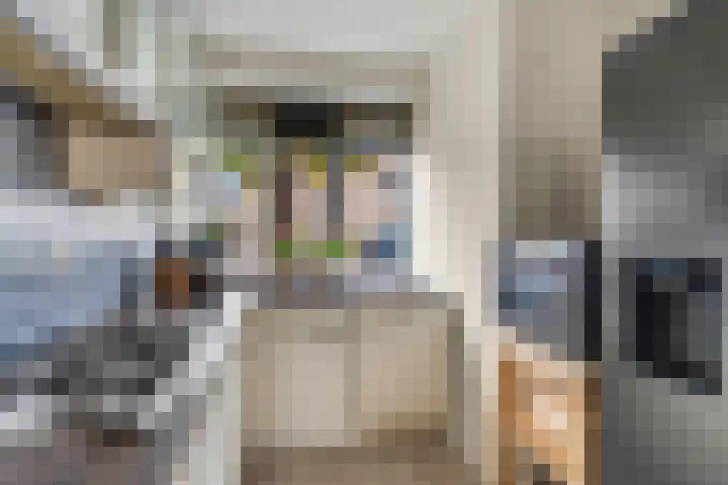 De Kievit 8 Elst Ut thumbnail 9