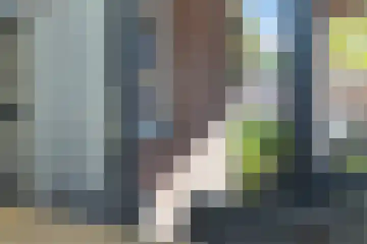 de Kievit 81 Denekamp thumbnail 11