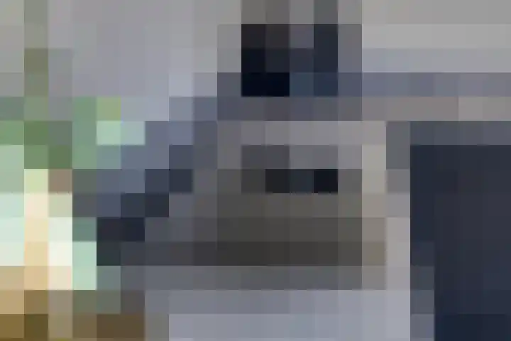 de Kievit 81 Denekamp thumbnail 15