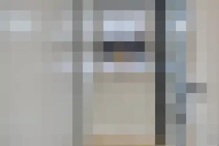 de Kievit 81 Denekamp thumbnail 16