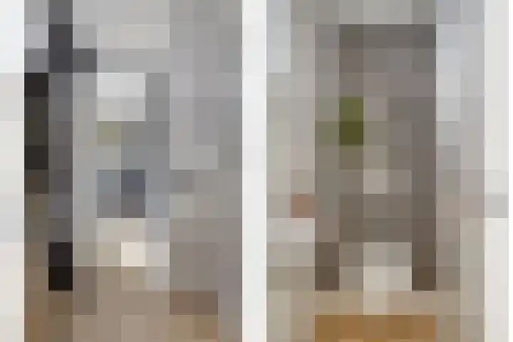 de Kievit 81 Denekamp thumbnail 19