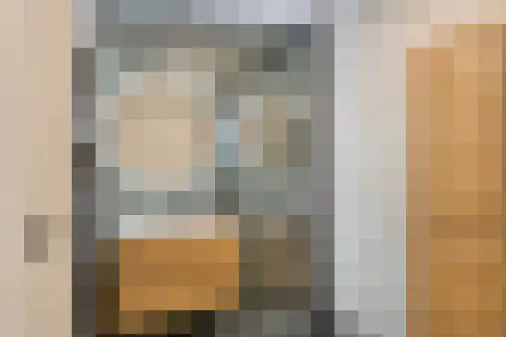 de Kievit 81 Denekamp thumbnail 20