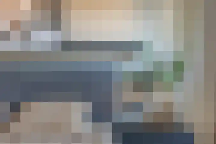 de Kievit 81 Denekamp thumbnail 22