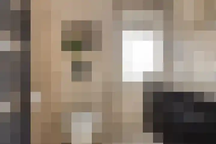 de Kievit 81 Denekamp thumbnail 23