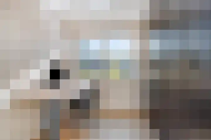 de Kievit 81 Denekamp thumbnail 27