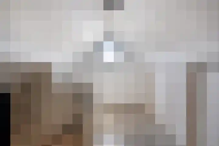 de Kievit 81 Denekamp thumbnail 29