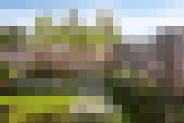 de Kievit 81 Denekamp thumbnail 31