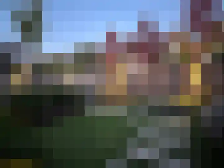 de Kievit 81 Denekamp thumbnail 33