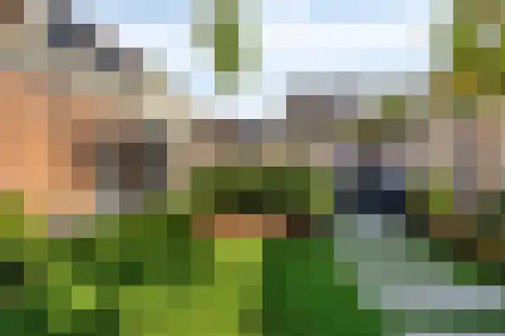 de Kievit 81 Denekamp thumbnail 34