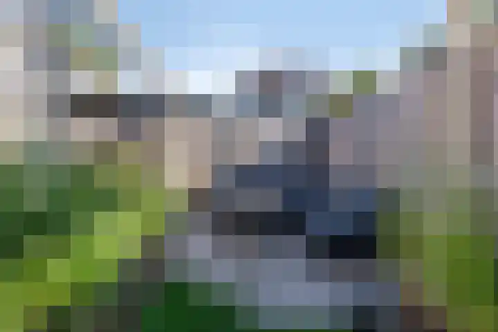 de Kievit 81 Denekamp thumbnail 35