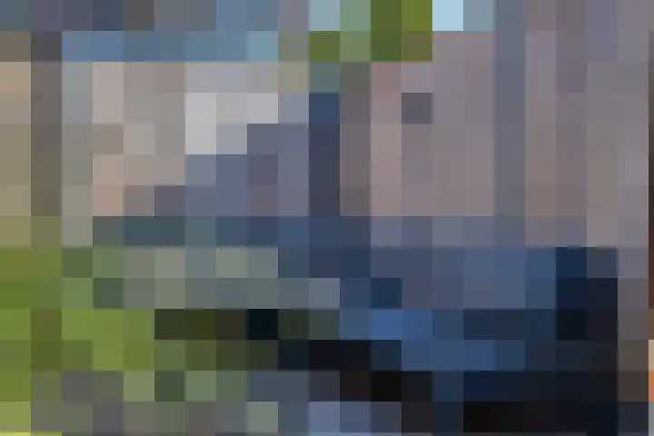 de Kievit 81 Denekamp thumbnail 36