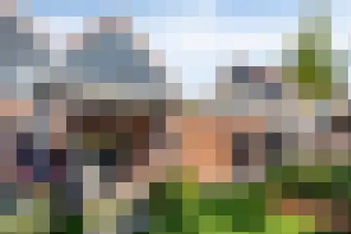 de Kievit 81 Denekamp thumbnail 38
