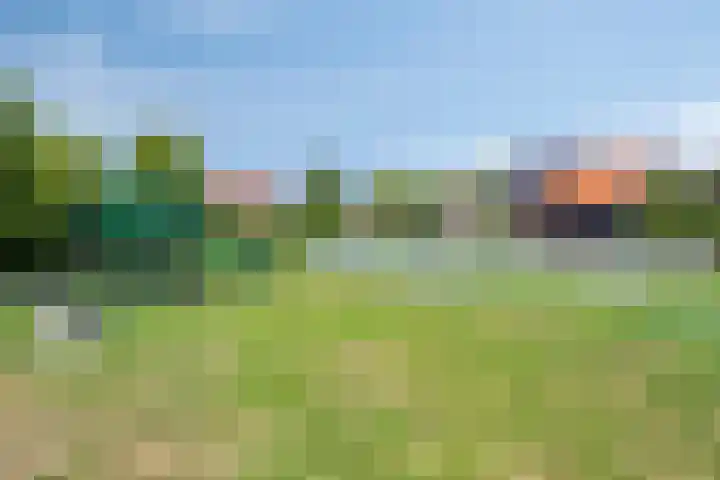 de Kievit 81 Denekamp thumbnail 45
