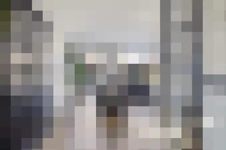de Kievit 81 Denekamp thumbnail 6