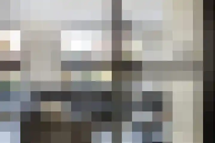 de Kievit 81 Denekamp thumbnail 7