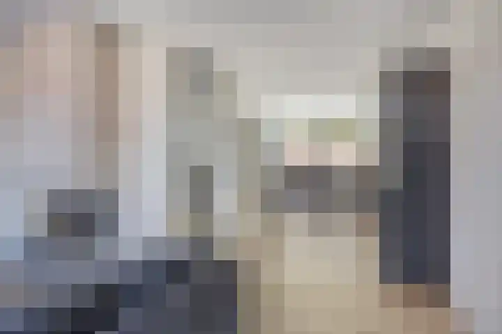 de Kievit 81 Denekamp thumbnail 8
